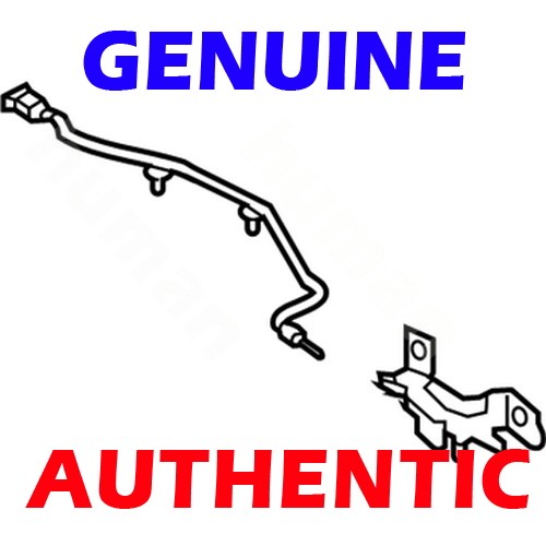 Genuine oem hood - hood, latch